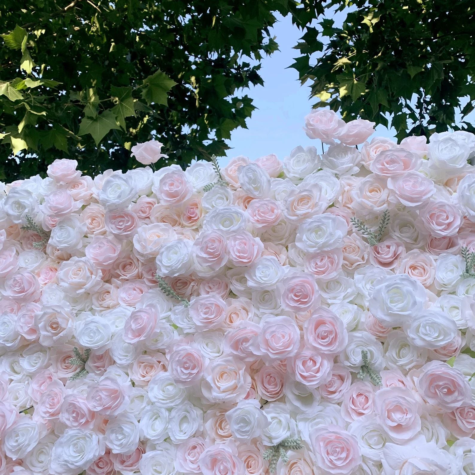 Ali Flowers 3d Baby Pink Flower Wall Rolling Up Curtain Floral Backdrop for Wedding Party Decor ALFWL001 - Ali Flowers