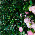 Aliflowers Blush Rose with Green Floral Wall Arrangement ALFWL077 - Ali Flowers