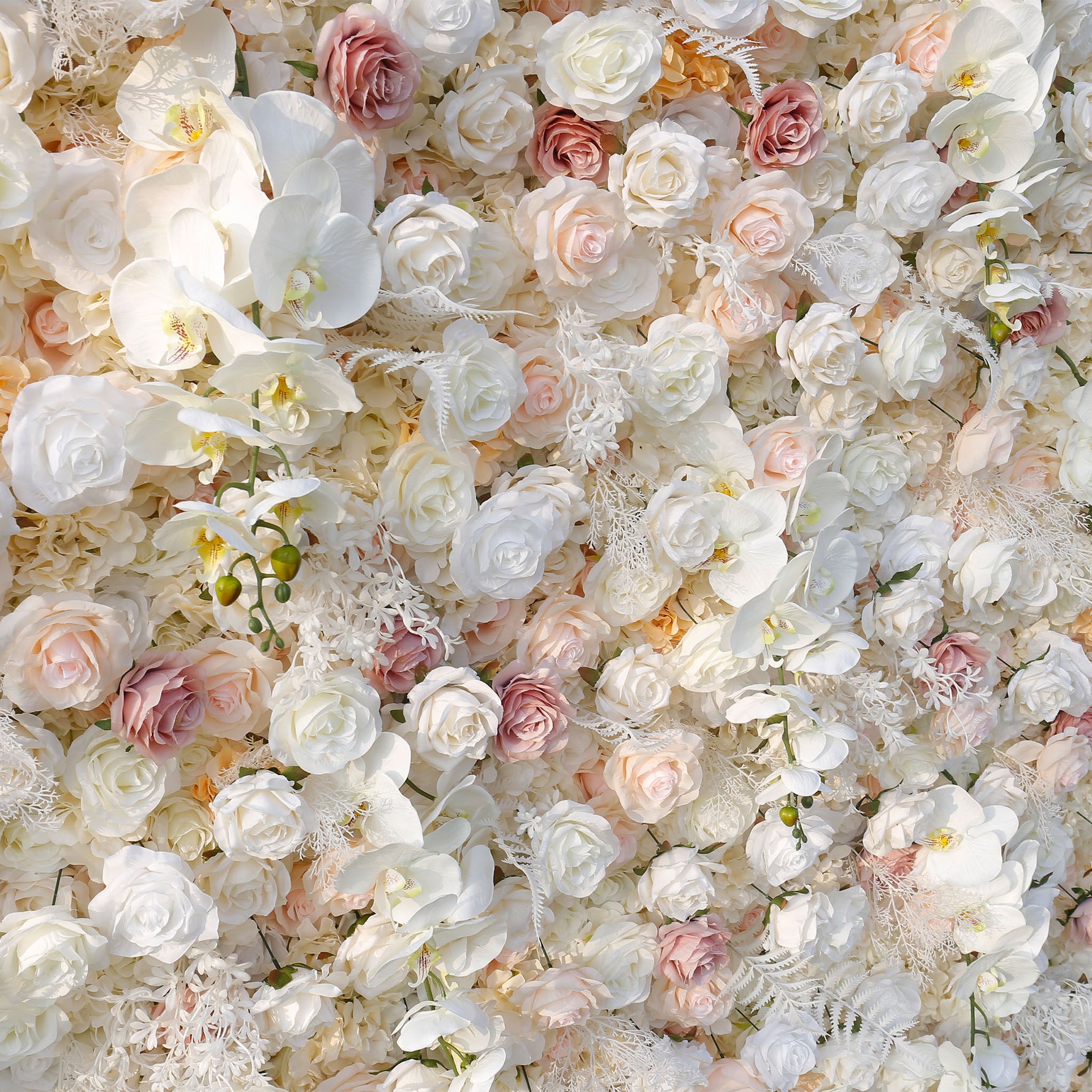 Aliflowers 5D Champagne White Rose with White leaves for wedding backdrop ALFWL029 - Ali Flowers