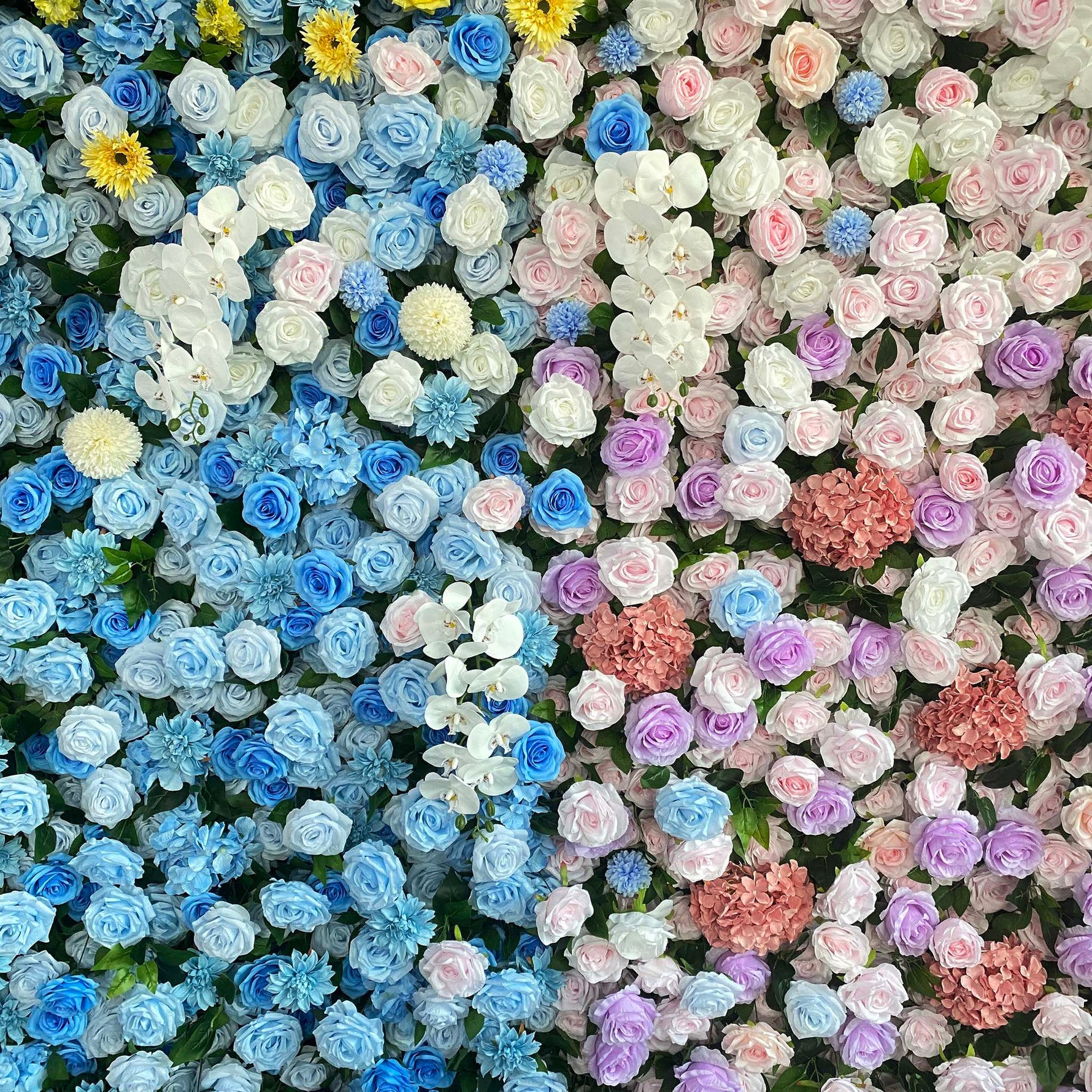Aliflowers 5D Blue And Pink Rose And Hydrangea Floral Wall Backdrop, Suitable for Wedding Decoration ALFWL199
