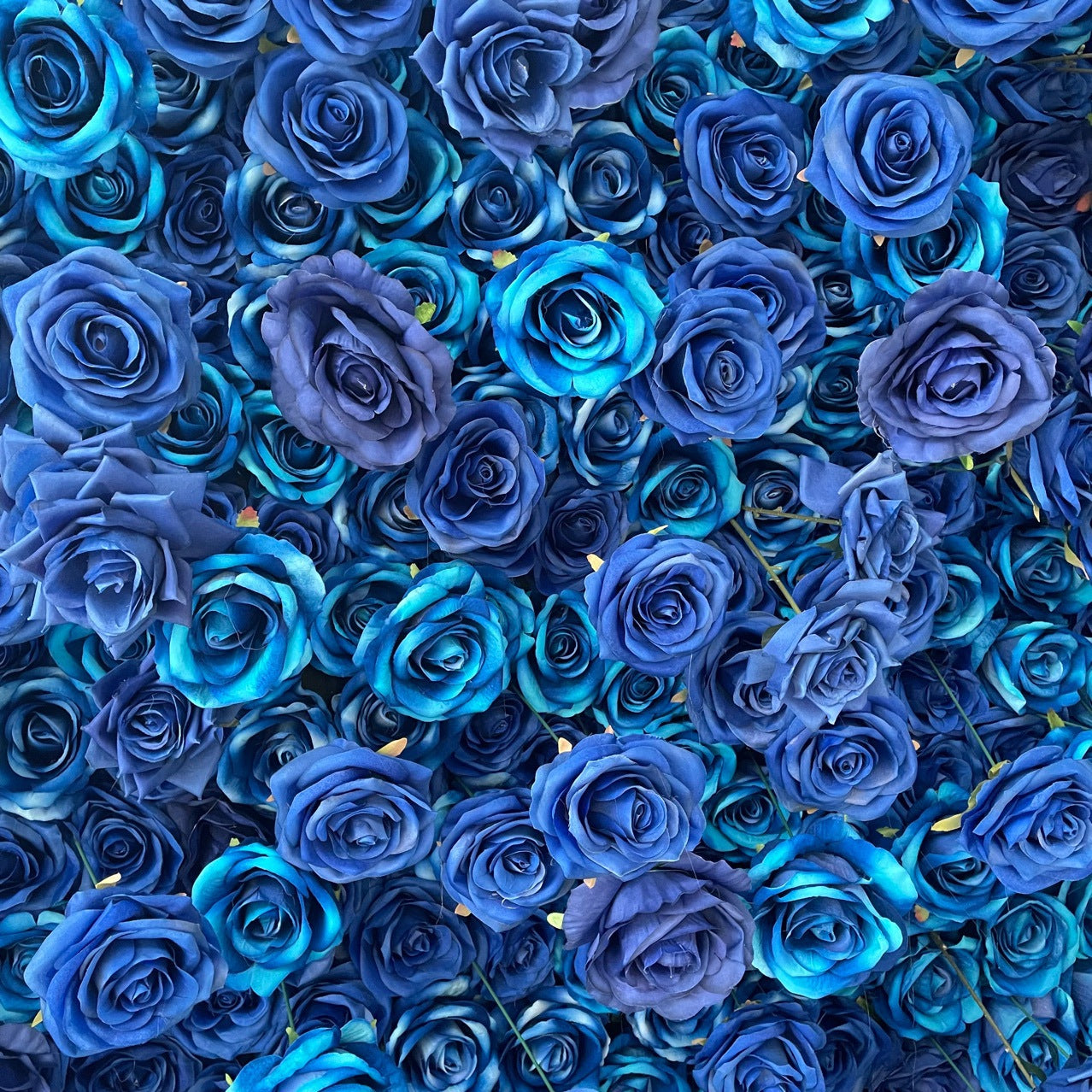 Aliflowers 5D Blue Rose Flower Fabric Backdrop Decoration Party Props ALFWL195