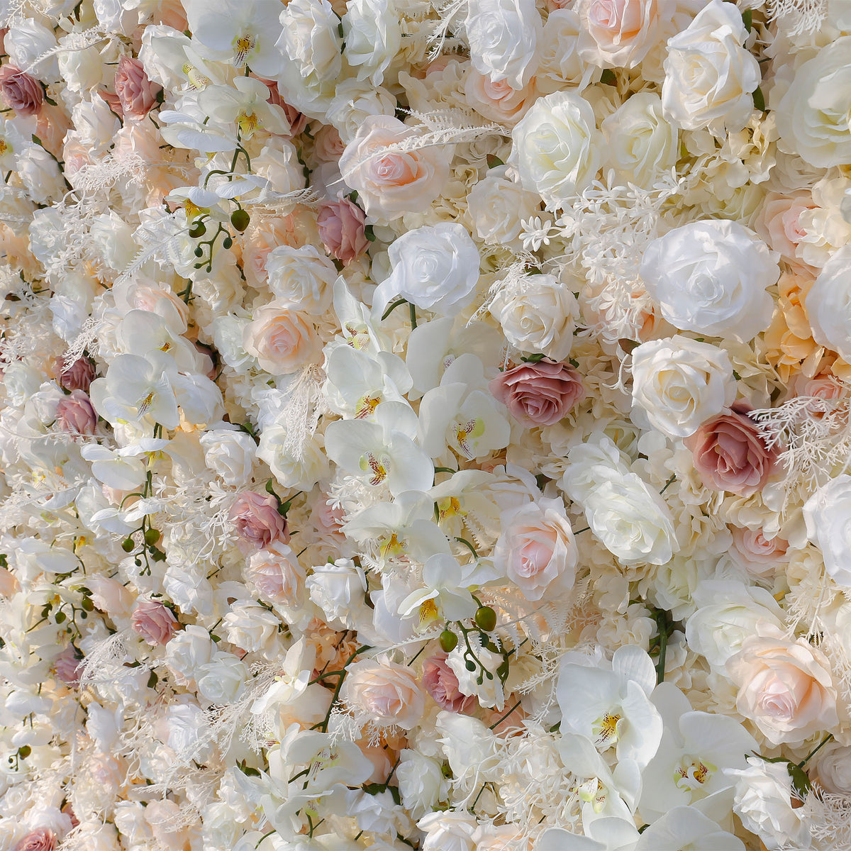 Aliflowers 5D Champagne White Rose with White leaves for wedding backdrop ALFWL029 - Ali Flowers