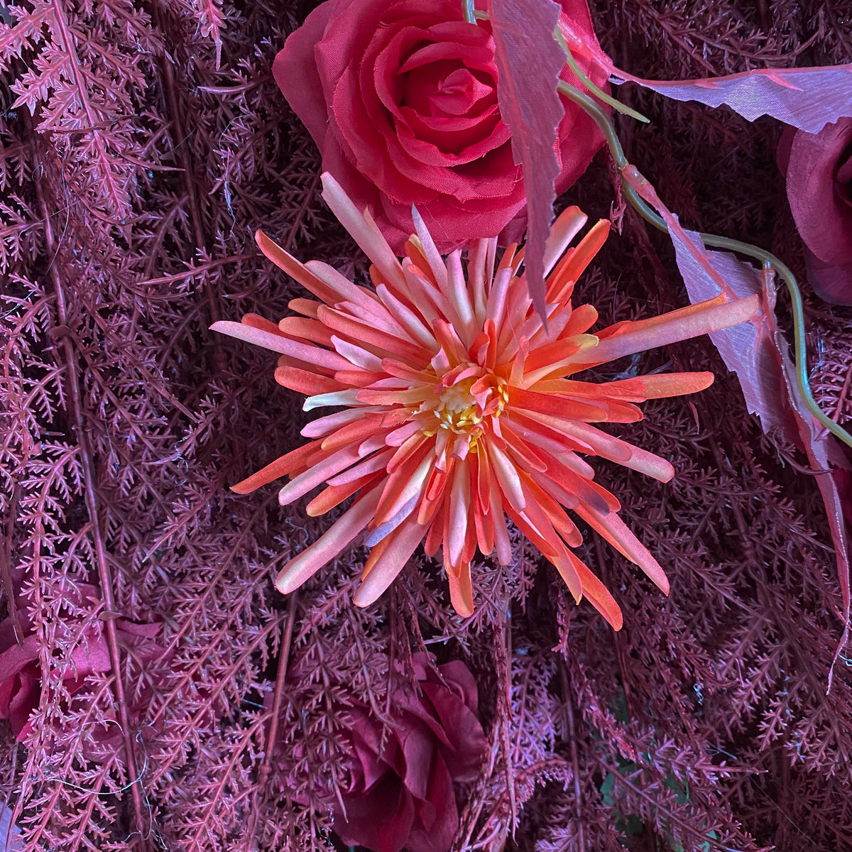 Aliflowers 5D Deep Red Permafrost Rose Wall Roller Fabric Wedding Backdrop ALFWL190