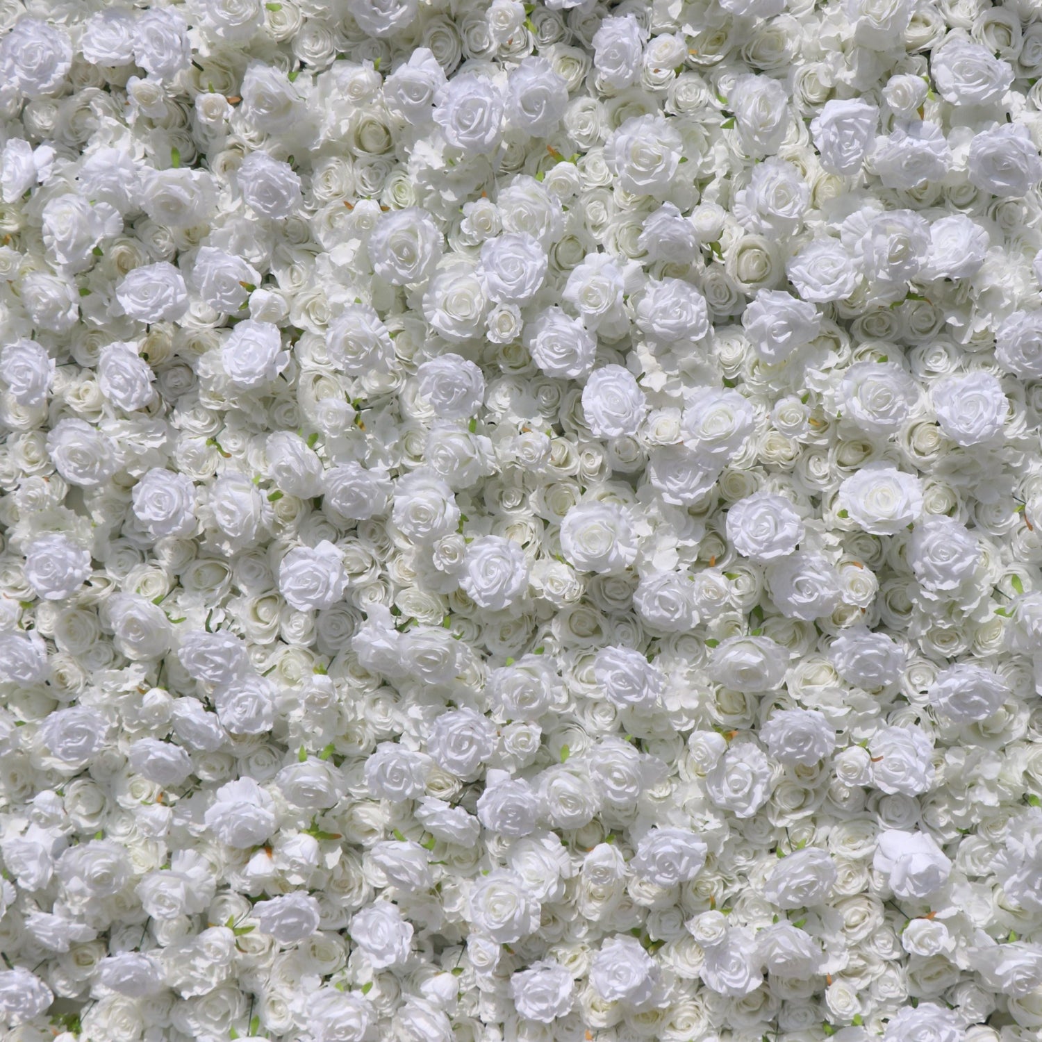 Aliflowers 5D White Rose & Hydrangea Rolling Curtain Flower Wall Backdrop ALFWL130