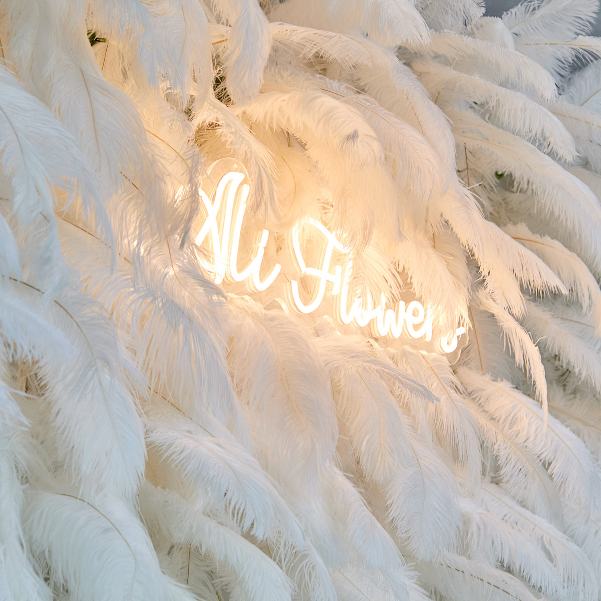 Aliflowers White Feather Wall Backdrop Wedding Decoration Roll Up Cloth White Ostrich Feather Wall ALFWL008 - Ali Flowers
