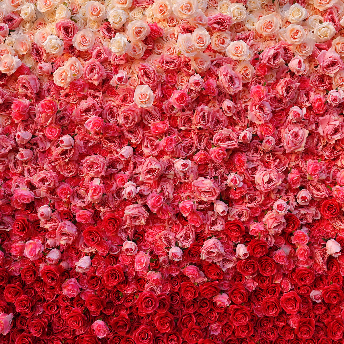 Aliflowers 5D Handmade Cloth Gradient Rose Artificial Floral Wall ALFWL119 - Ali Flowers