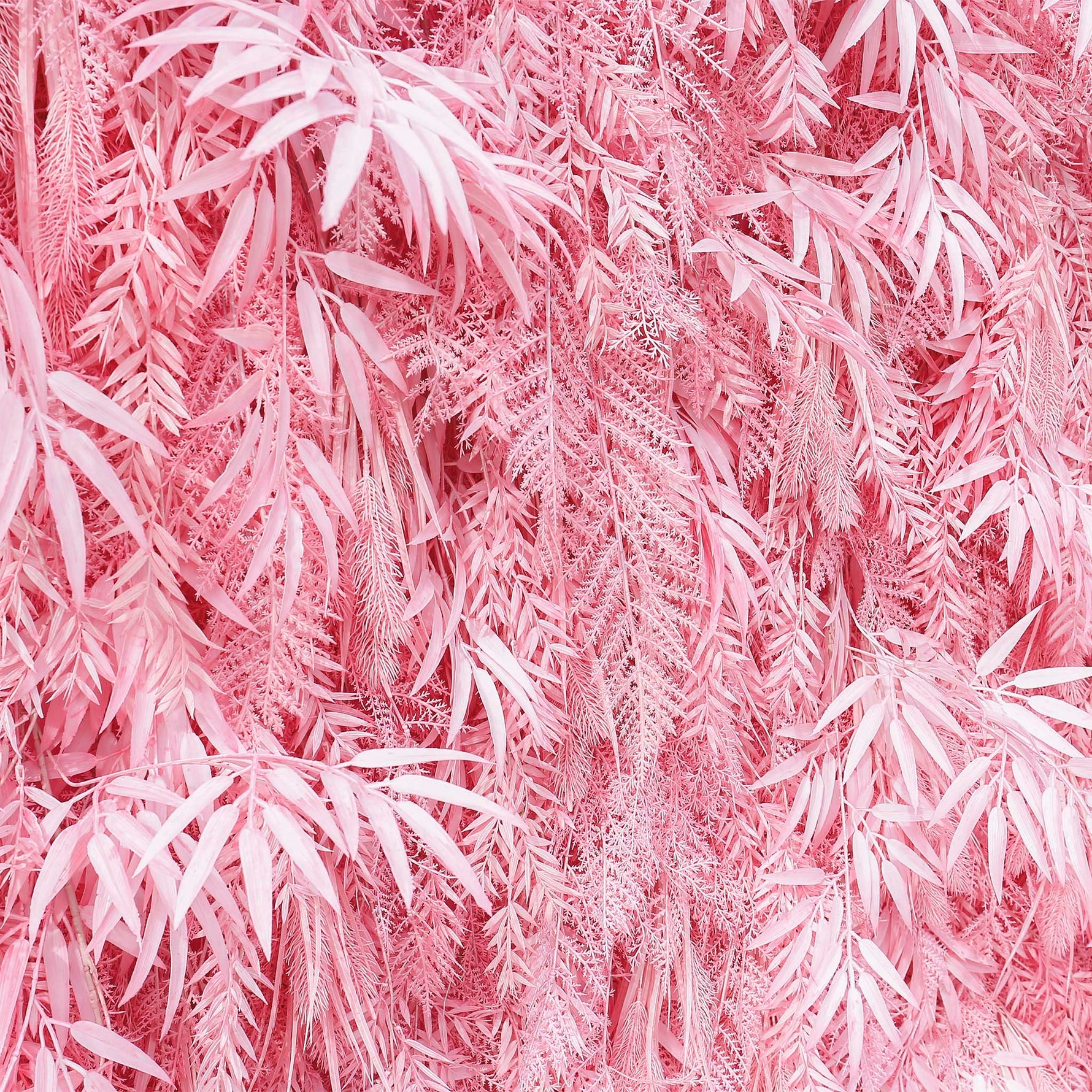 Aliflowers Candy Pink Misty Smog Pampas Flower Wall Artificial Silk Roll Up Cloth Fabric Wedding Backdrop Decoration