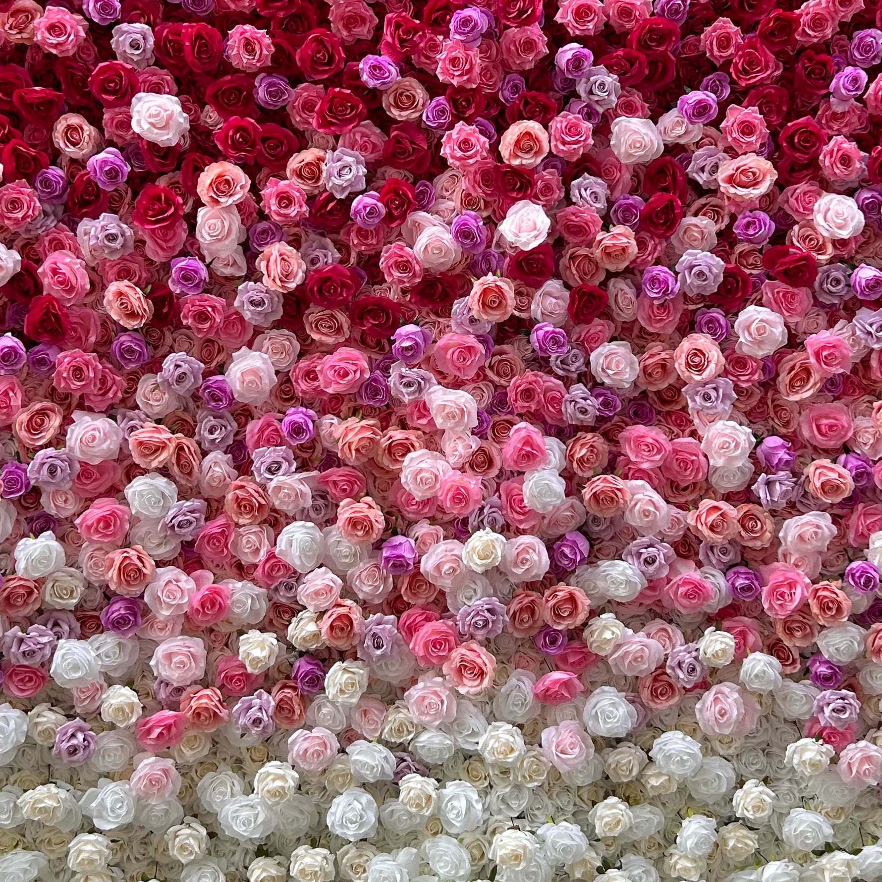 Aliflowers Gradient Rose Flower Wall for Events & Photo Booth Backdrop ALFWL115 - Ali Flowers