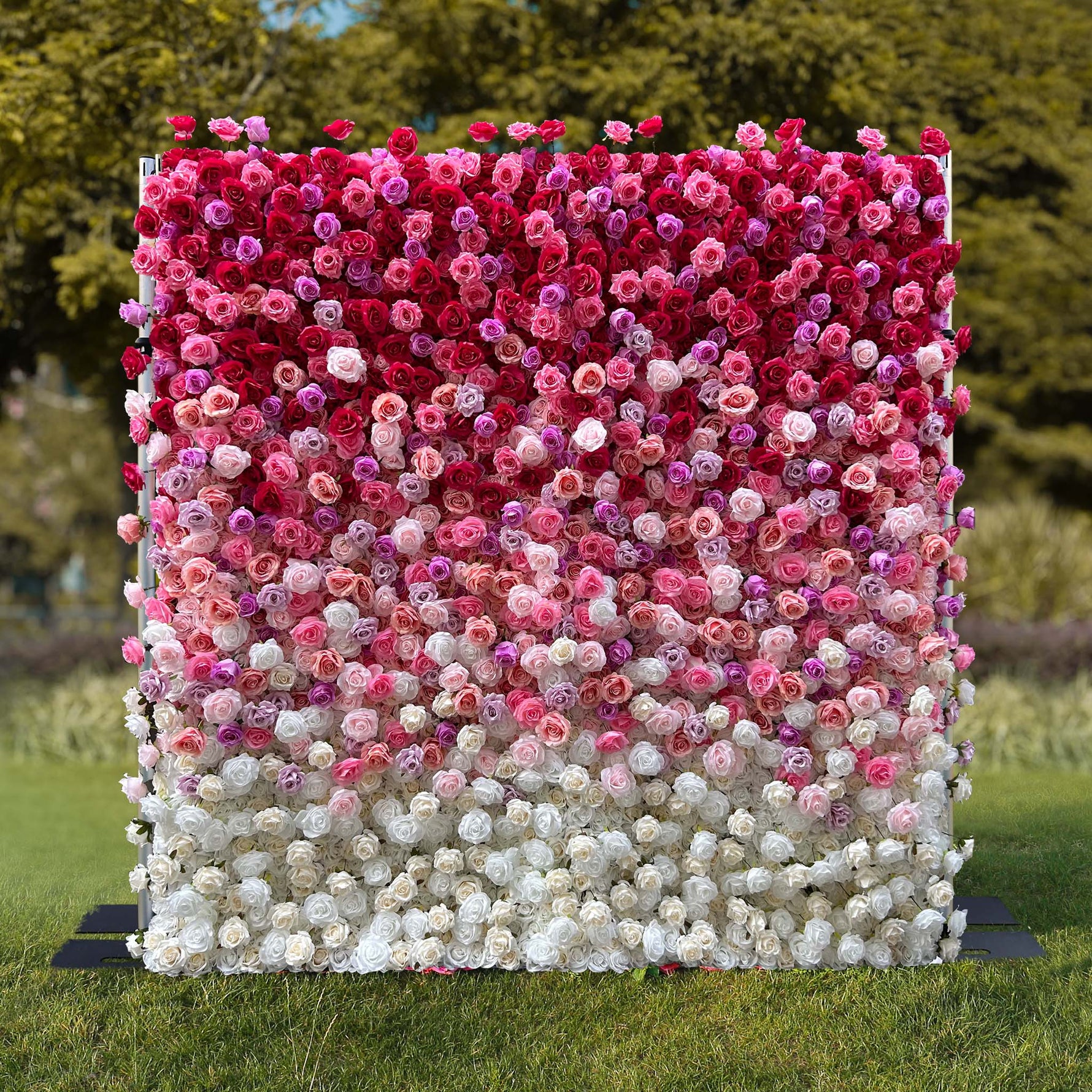 Aliflowers Gradient Rose Flower Wall for Events & Photo Booth Backdrop ALFWL115 - Ali Flowers